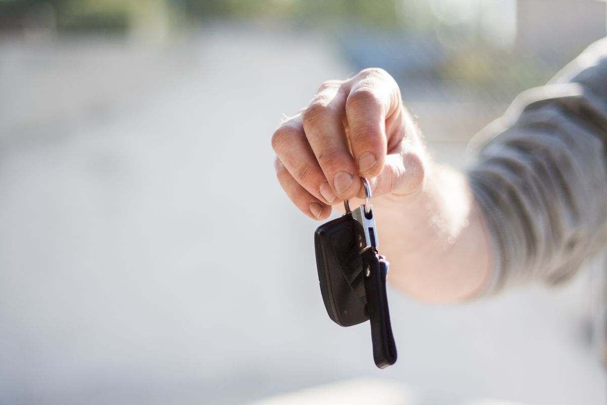 Vehicle Rental Companies